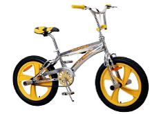 20"freestyle bicycle 